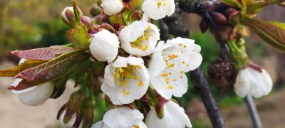 Радіо Копайгород